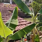 Rural House To Take A Break, La Serreria 25 - Private Garden * Tacoronte