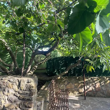 Dom wakacyjny Rural House To Take A Break, La Serreria 25 - Private Garden Tacoronte