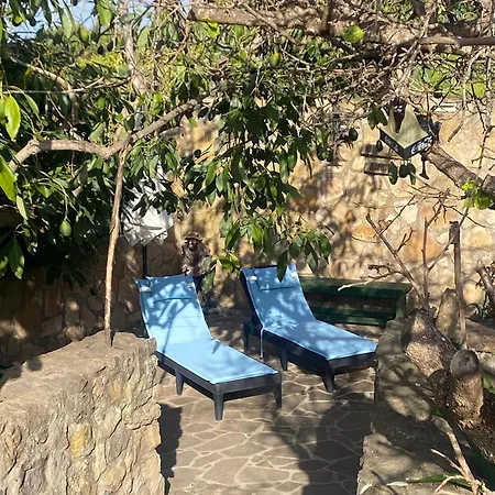 Rural House To Take A Break, La Serreria 25 - Private Garden Feriehus Tacoronte