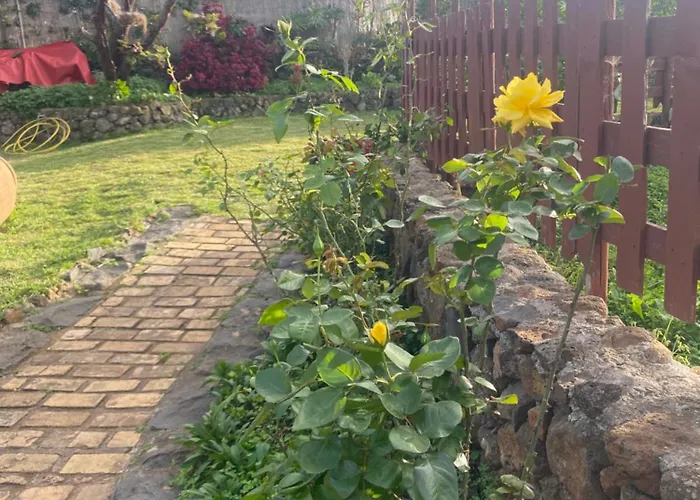 Rural House To Take A Break, La Serreria 25 - Private Garden Feriehus *