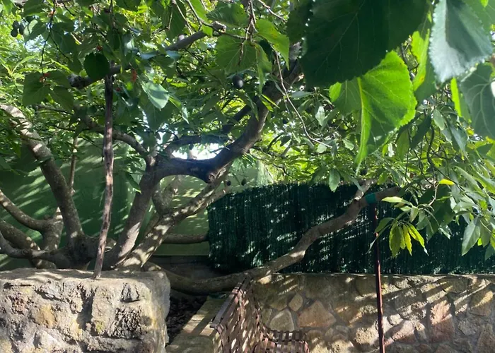 Feriehus Rural House To Take A Break, La Serreria 25 - Private Garden Tacoronte