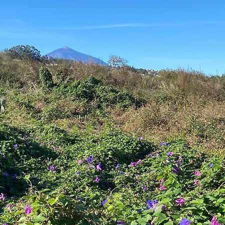 Holiday home Rural House To Take A Break, La Serreria 25 - Private Garden *