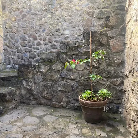 Rural House To Take A Break, La Serreria 25 - Private Garden Holiday home Tacoronte