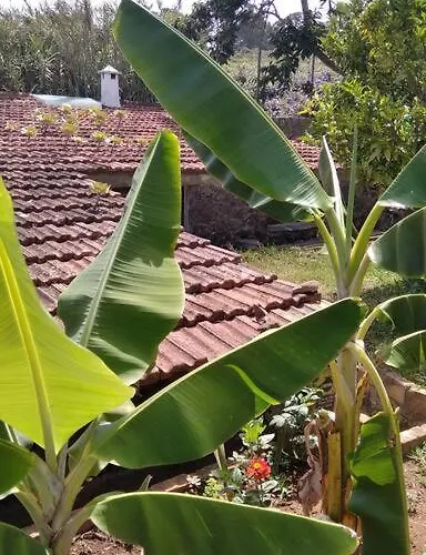 Rural House To Take A Break, La Serreria 25 - Private Garden * Tacoronte