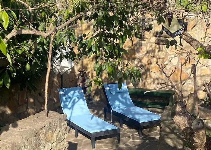 Rural House To Take A Break, La Serreria 25 - Private Garden 度假居 塔科龙特