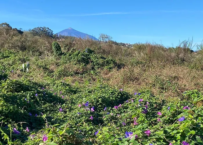 Ferienhaus Rural House To Take A Break, La Serreria 25 - Private Garden *