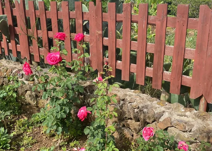 Rural House To Take A Break, La Serreria 25 - Private Garden Ferienhaus *