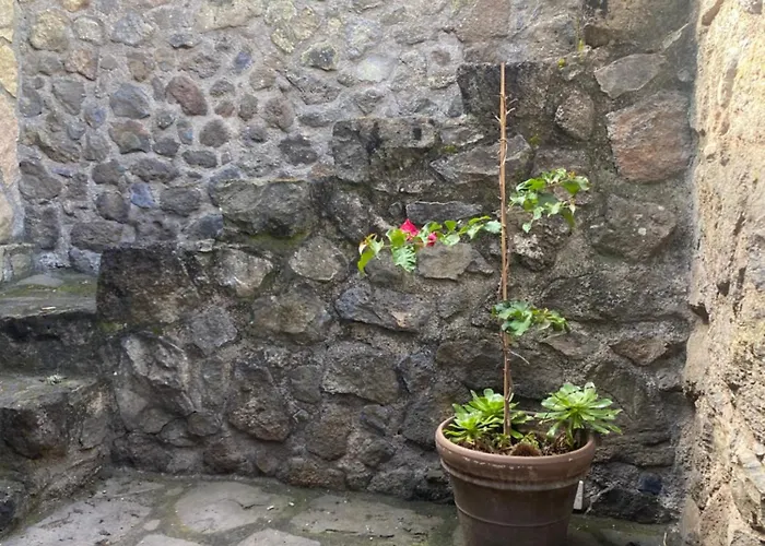 Rural House To Take A Break, La Serreria 25 - Private Garden 度假居 塔科龙特